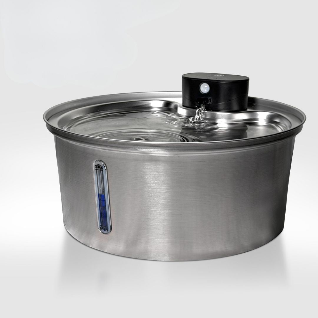 PuhdasPuro – Langaton ja älykäs juomalähde koirille