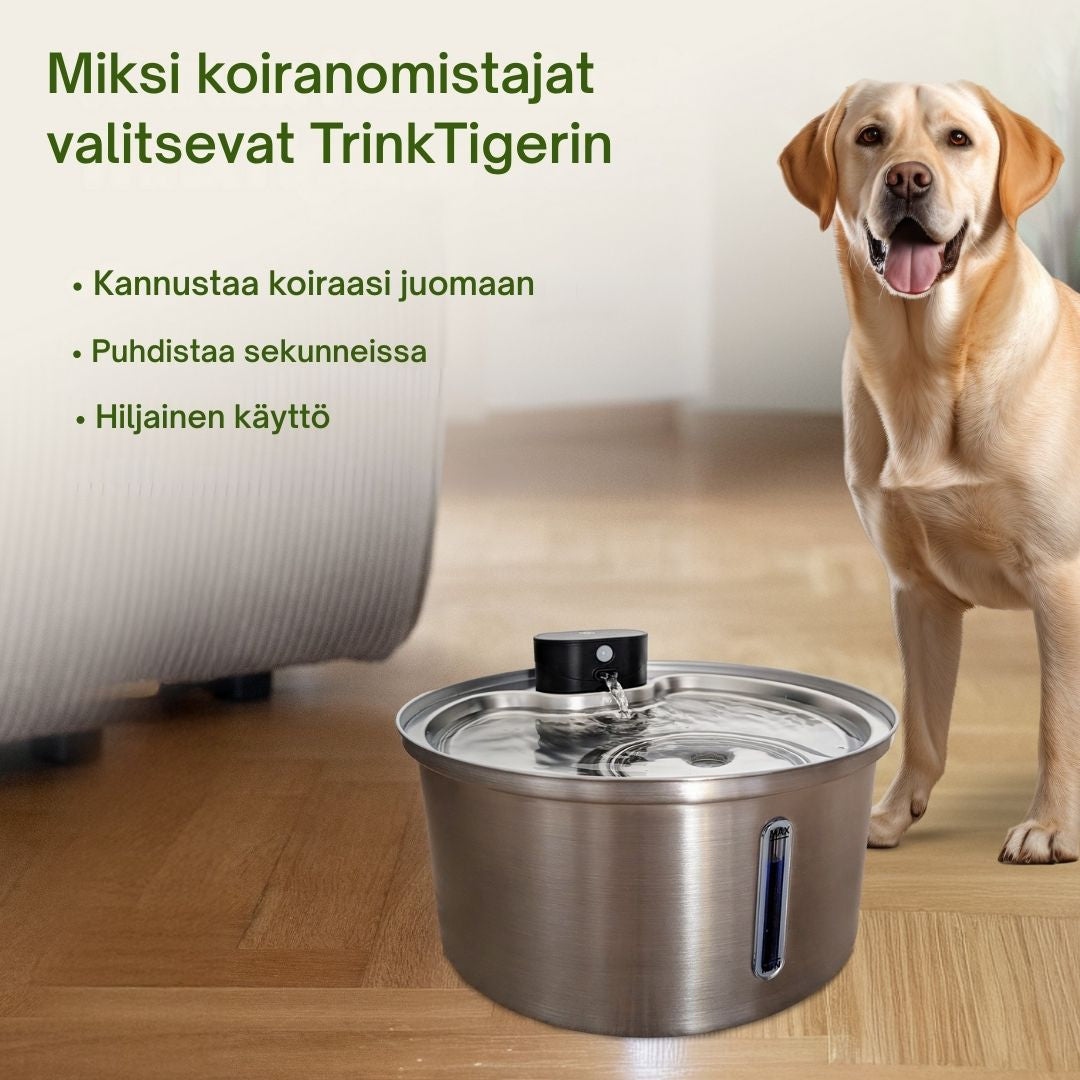 PuhdasPuro – Langaton ja älykäs juomalähde koirille