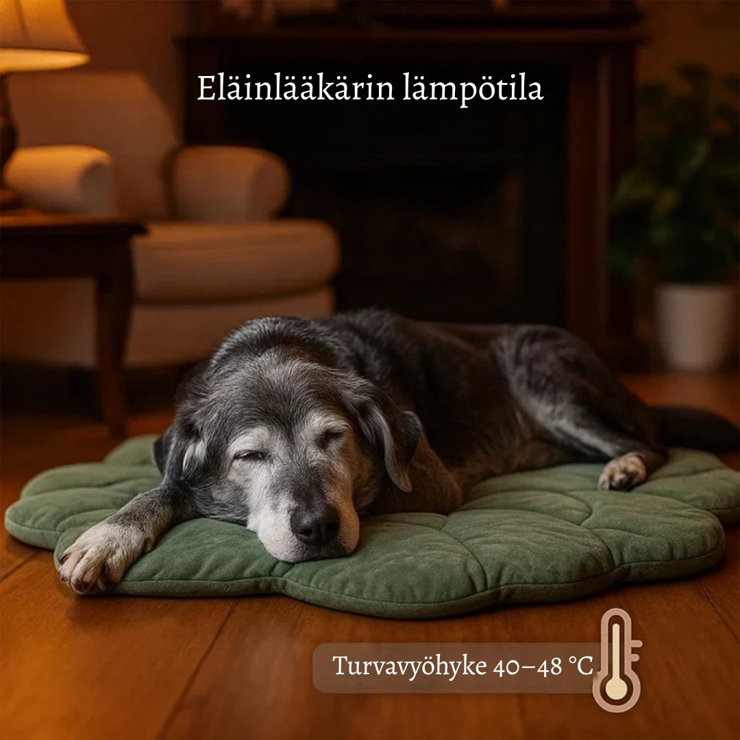 LämpöTassu – Lämmin ja turvallinen peti lemmikillesi talven kylmiin päiviin