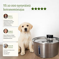 PuhdasPuro – Langaton ja älykäs juomalähde koirille