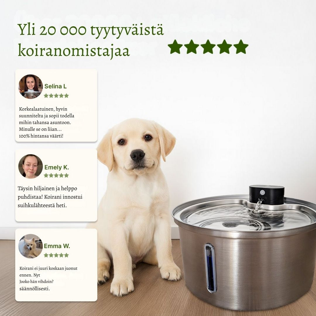 PuhdasPuro – Langaton ja älykäs juomalähde koirille