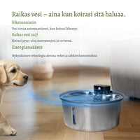 PuhdasPuro – Langaton ja älykäs juomalähde koirille