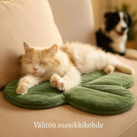 LämpöTassu – Lämmin ja turvallinen peti lemmikillesi talven kylmiin päiviin