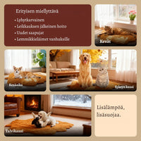 LämpöTassu – Lämmin ja turvallinen peti lemmikillesi talven kylmiin päiviin